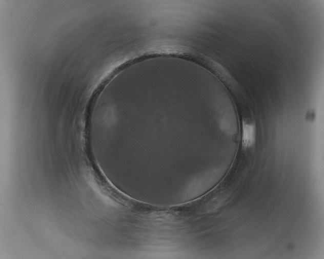 X0000113550627200910021531