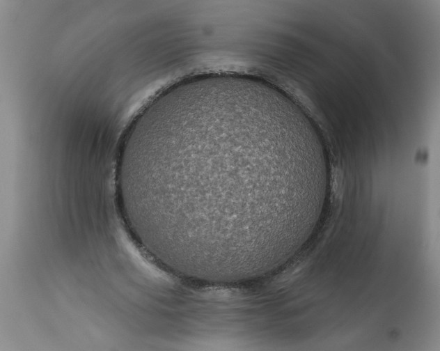 X0000113550629200910021531