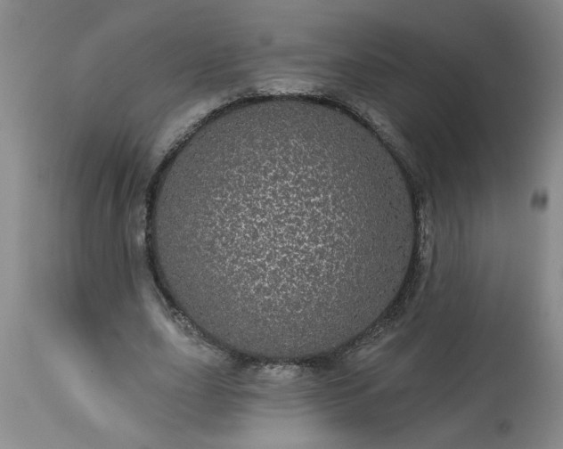 X0000113550631200910021531