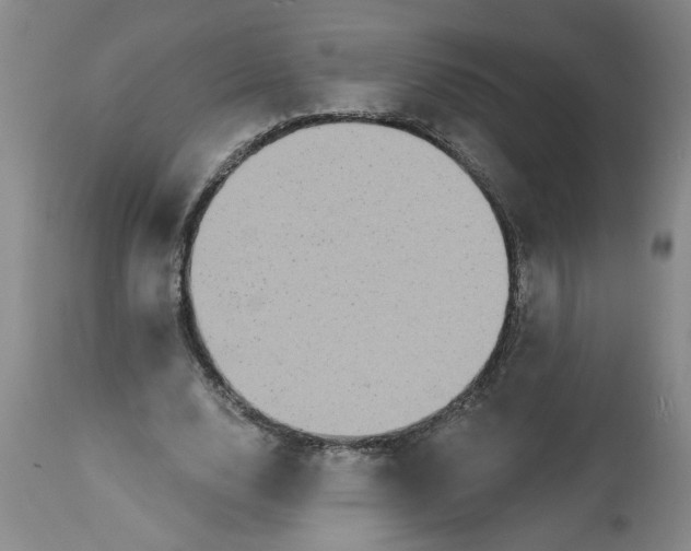 X0000113550632200910021531