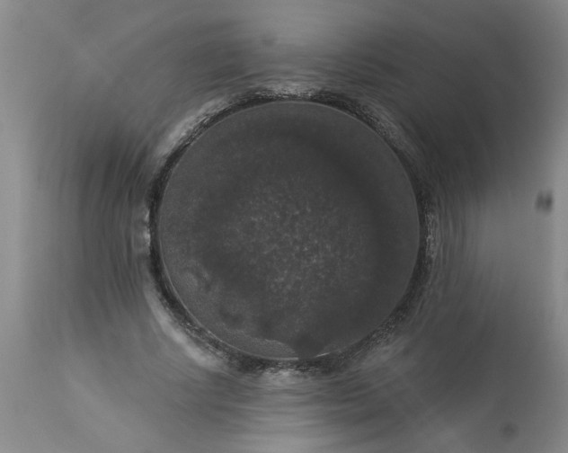 X0000113550634200910021531