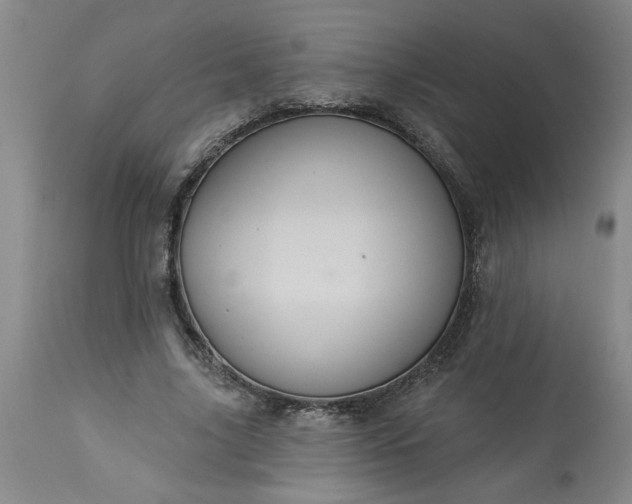 X0000113550635200910021531