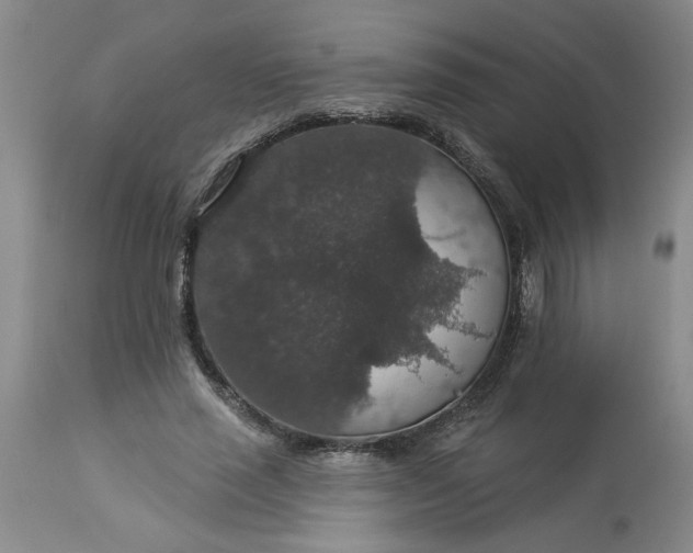 X0000113550637200910021531