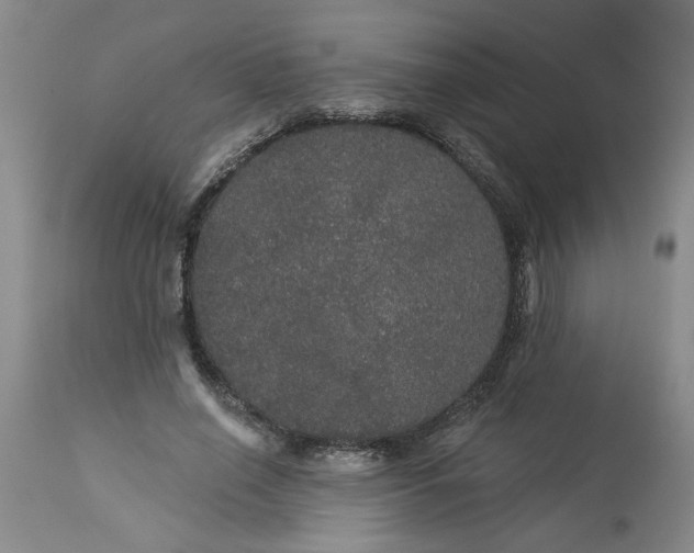 X0000113550638200910021531