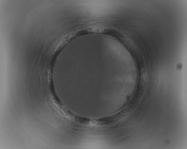 X0000113550641200910021531