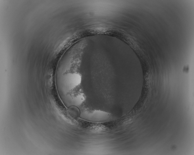 X0000113550642200910021531