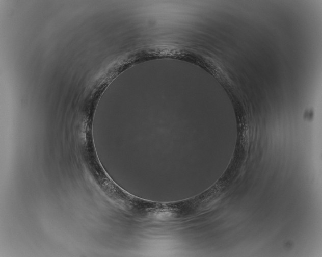 X0000113550643200910021531