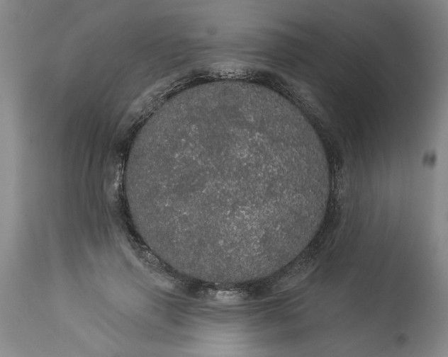 X0000113550645200910021531