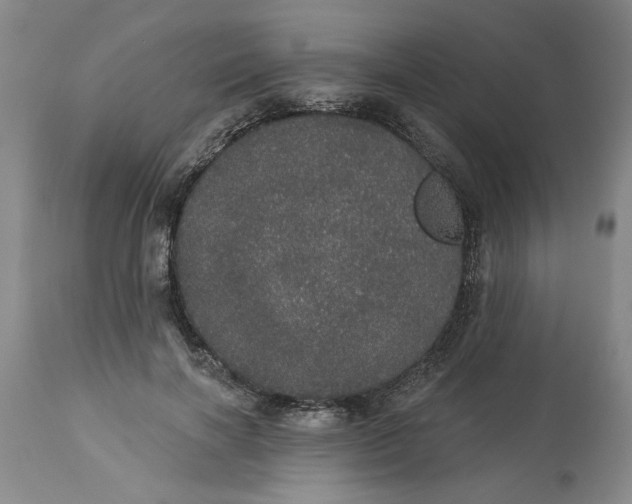 X0000113550646200910021531