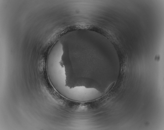 X0000113550647200910021531