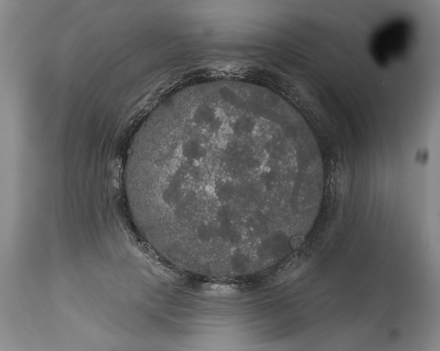 X0000113550649200910021531