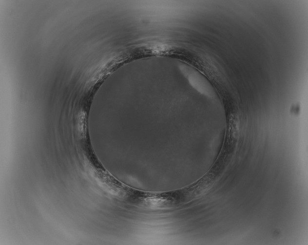 X0000113550650200910021531