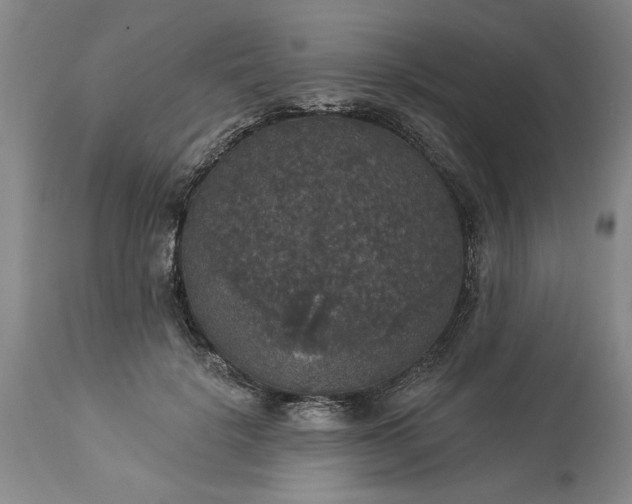 X0000113550652200910021531