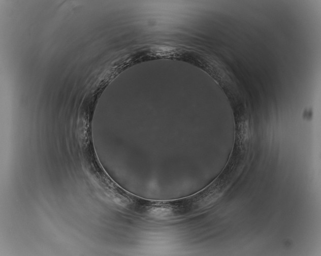 X0000113550653200910021531