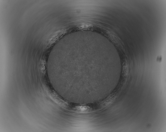 X0000113550654200910021531