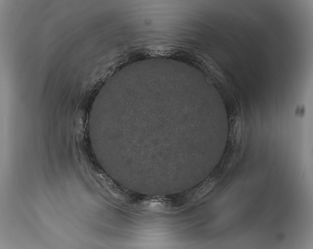 X0000113550655200910021531