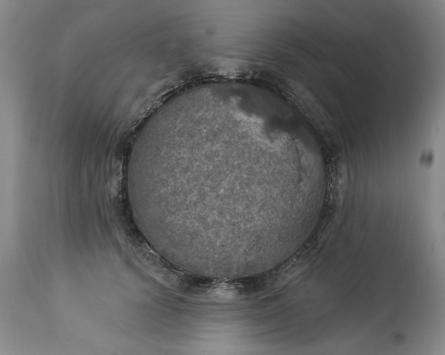 X0000113550656200910021531