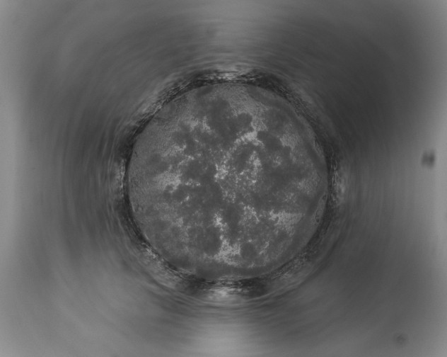 X0000113550657200910021531