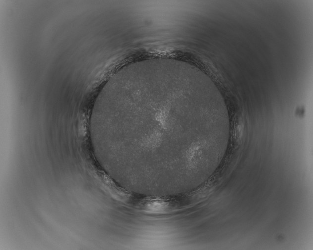 X0000113550658200910021531