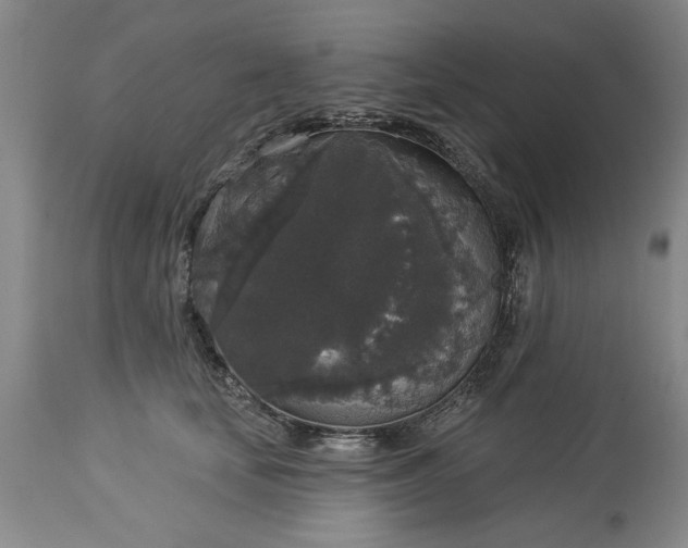 X0000113550659200910021531