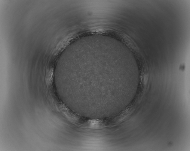 X0000113550660200910021531