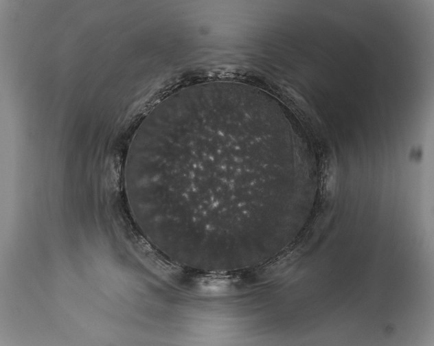 X0000113550661200910021531