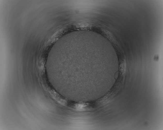 X0000113550662200910021531