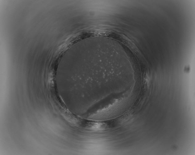 X0000113550663200910021531