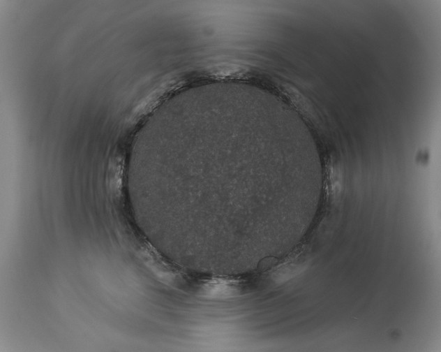 X0000113550664200910021531