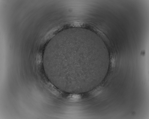 X0000113550665200910021531