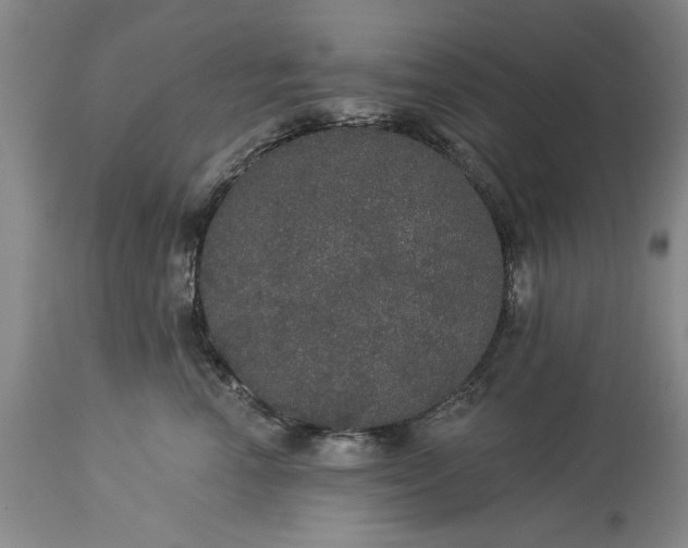 X0000113550666200910021532