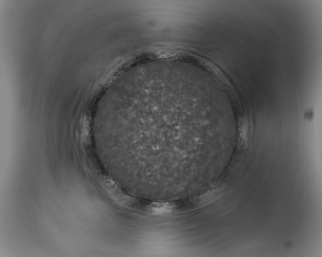 X0000113550667200910021532