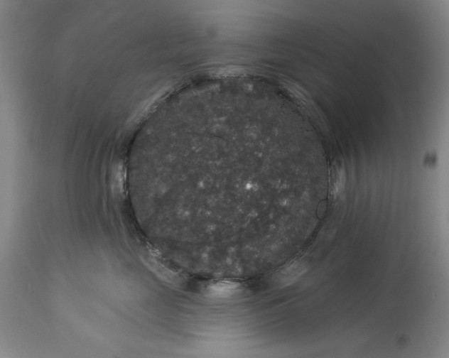 X0000113550669200910021532