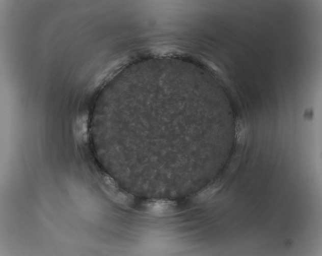 X0000113550670200910021532