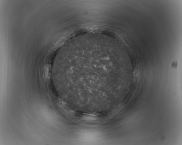 X0000113550671200910021532