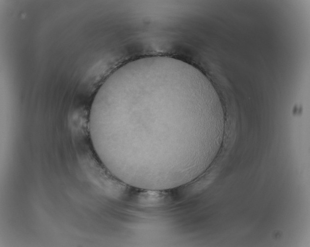 X0000113550672200910021532