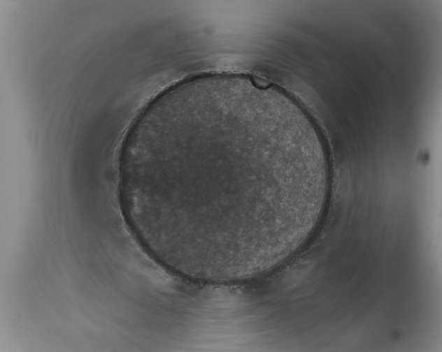 X0000113550673200910021531