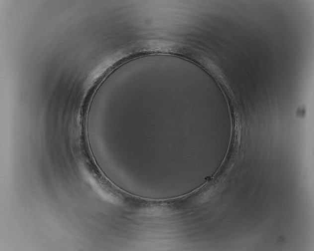 X0000113550674200910021531