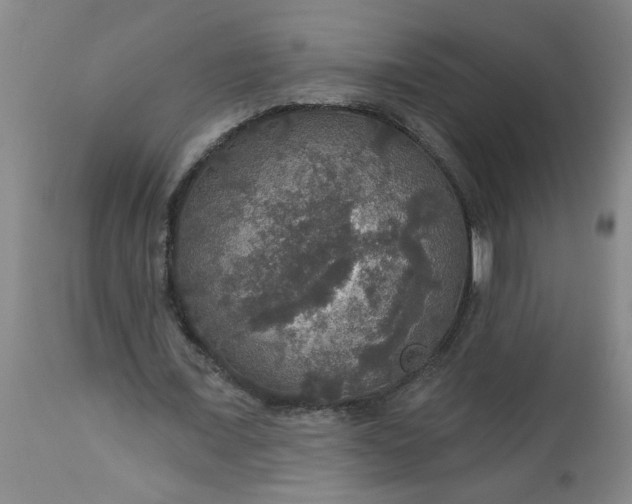 X0000113550675200910021531