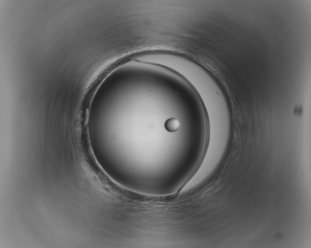 X0000113550676200910021531