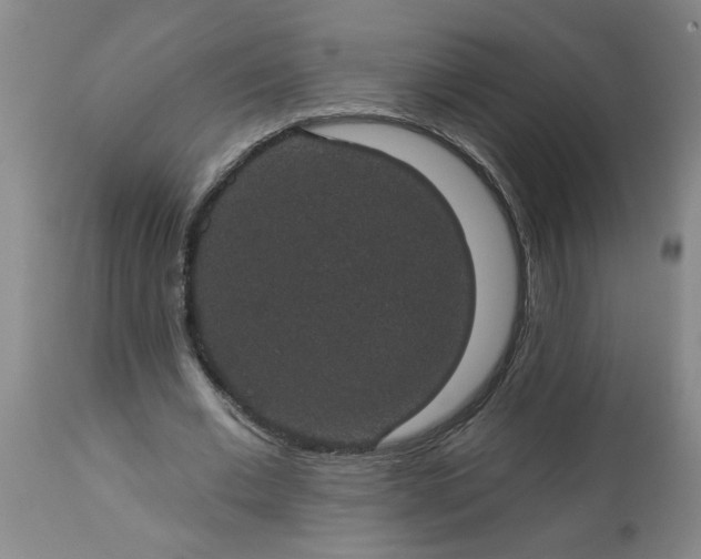 X0000113550677200910021531