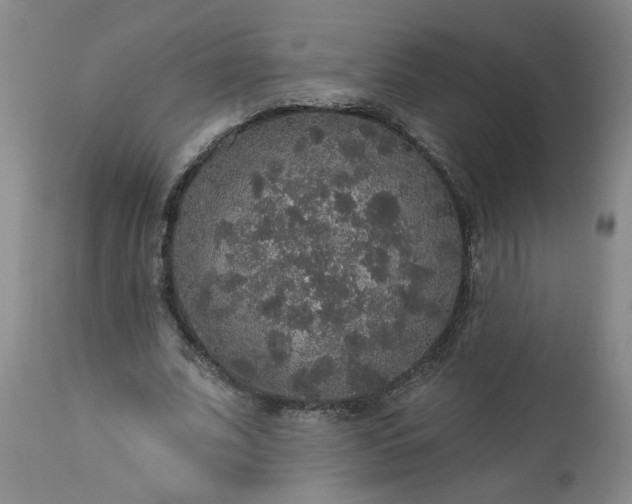 X0000113550679200910021531