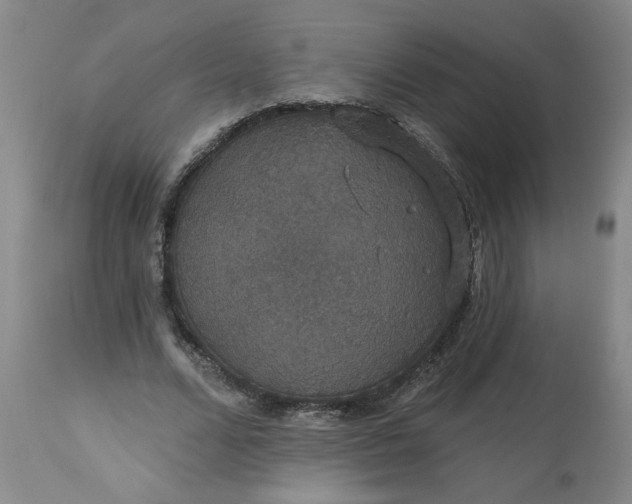 X0000113550680200910021531