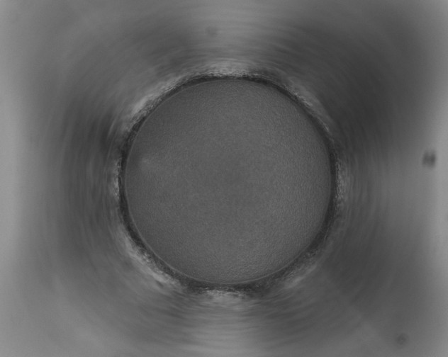 X0000113550681200910021531