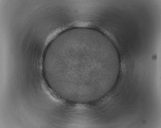 X0000113550682200910021531