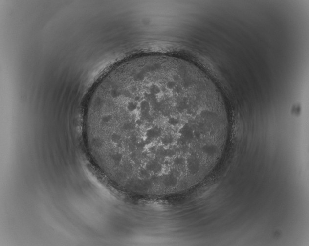 X0000113550683200910021531