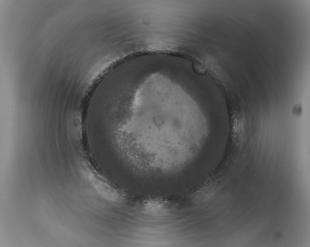 X0000113550684200910021531