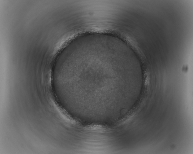 X0000113550685200910021531