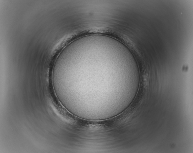 X0000113550686200910021531