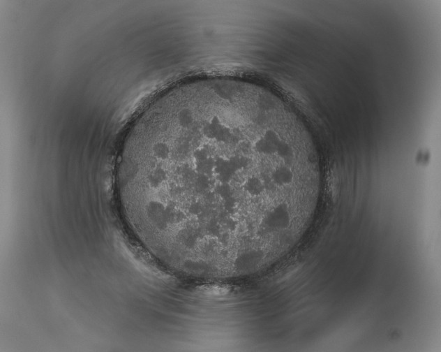 X0000113550687200910021531